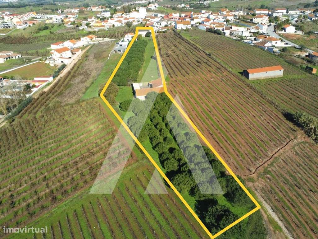 Moradia T4 + T1 com Terreno de 7.800 m² no Cadaval - Vista para a S...-45