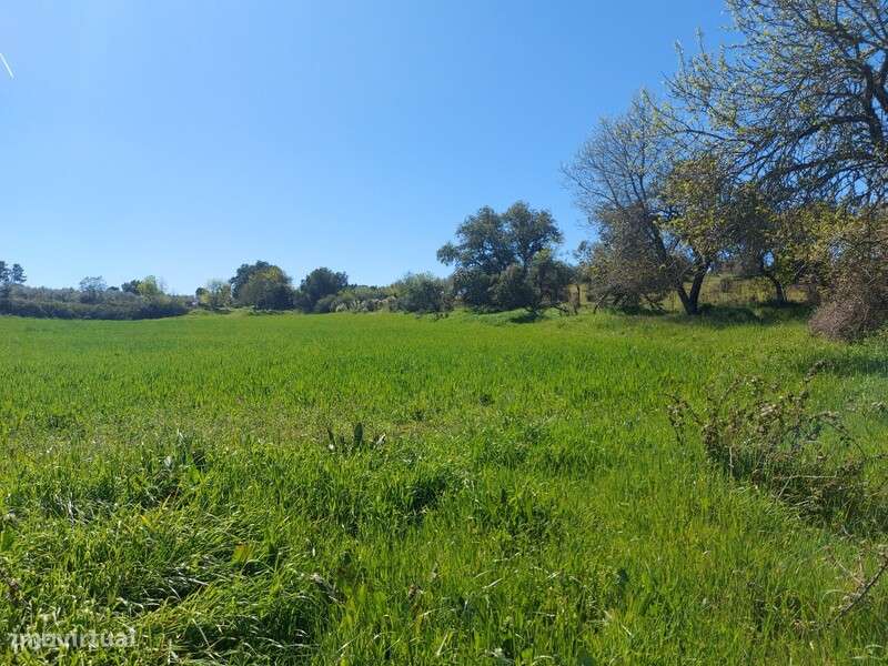 Venda Judicial Terreno Rústico Presa-Covinhas Castro Vicente - Grande imagem: 4/16