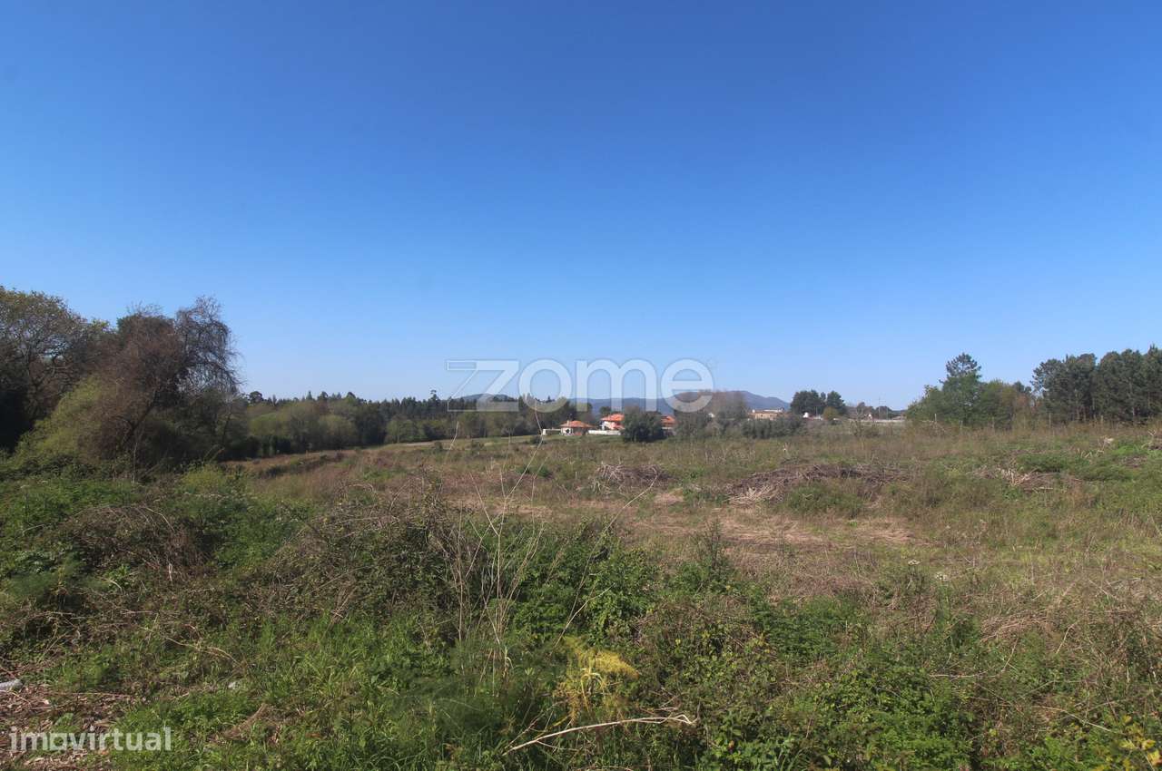 Terreno Industrial - Grande imagem: 5/16