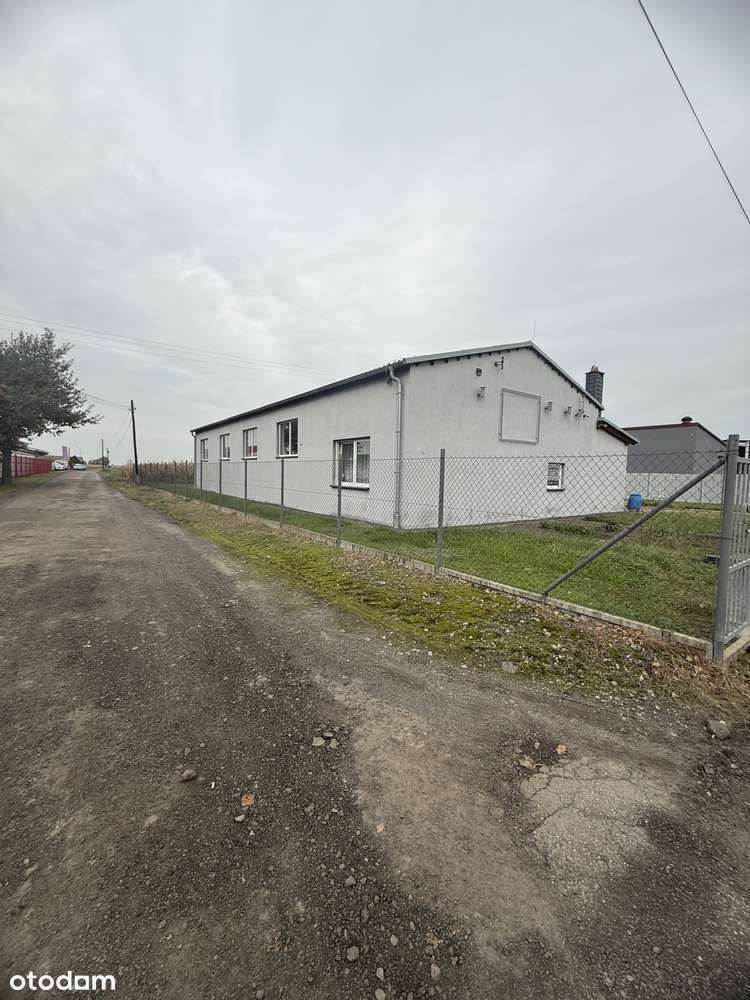 Hala na wynajem - wysoka jakość, dobra lokalizacja - Pełny obrazek: 4/16