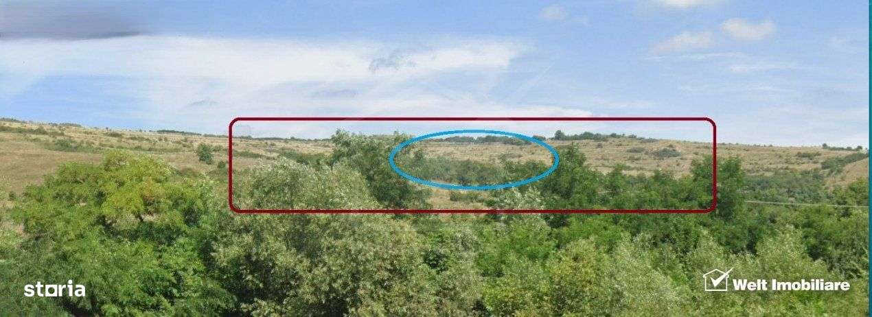 Teren extravilan in Feiurdeni, 7200 mp, expunere sudica - Imagine principală: 2/2