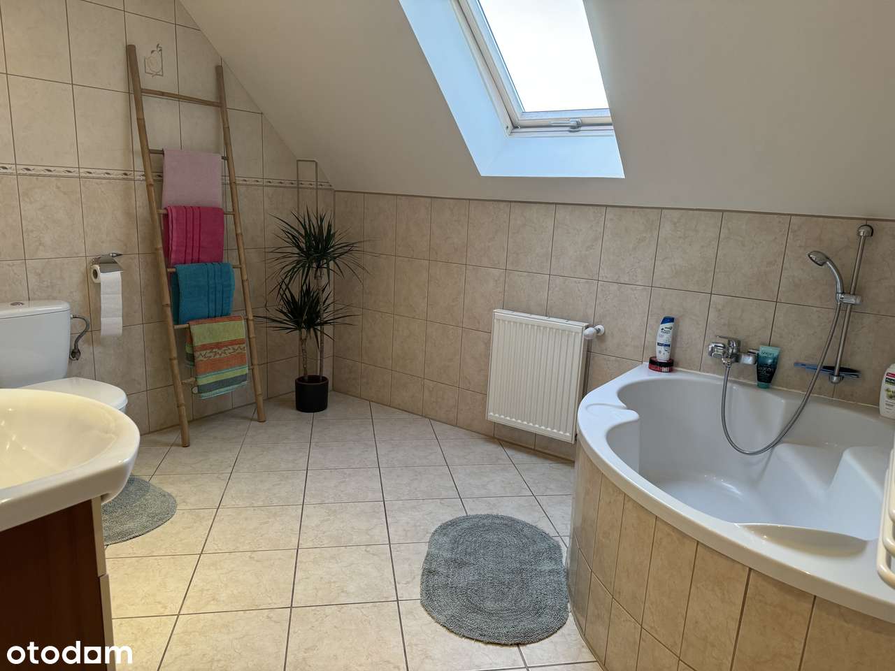 Black Week obniżka ceny o 50 000 zł-19