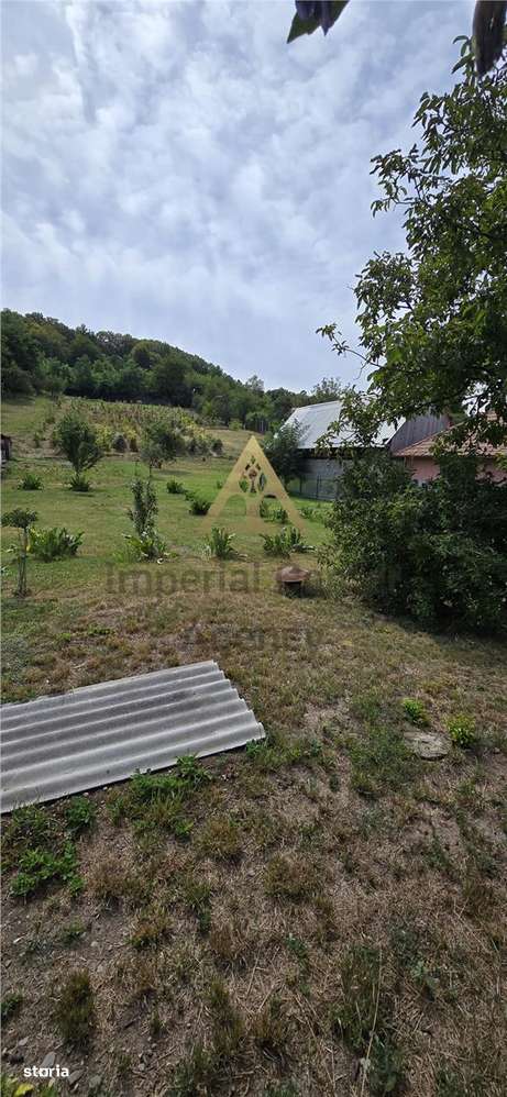 Teren intravilan + extravilan 10.537 mp – casa, livada sau ferma de fa-14