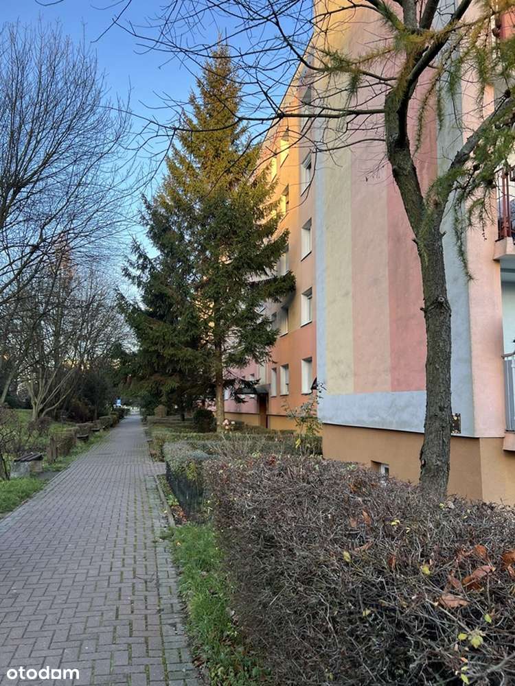 Żary ul. Szymanowskiego (spółdzielcze własnościowe prawo do lokalu)-19