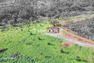 Quintinha  Venda em Garvão e Santa Luzia,Ourique - Grande imagem: 5/20