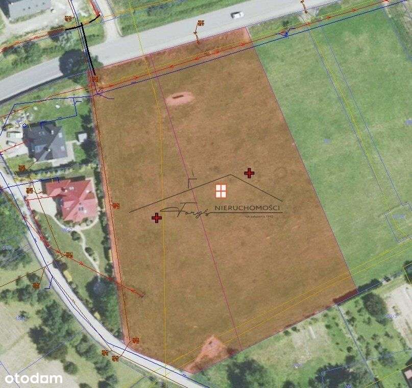 Buszkowiczki, działka inwestycz Wz-tką, super cena - Pełny obrazek: 5/9