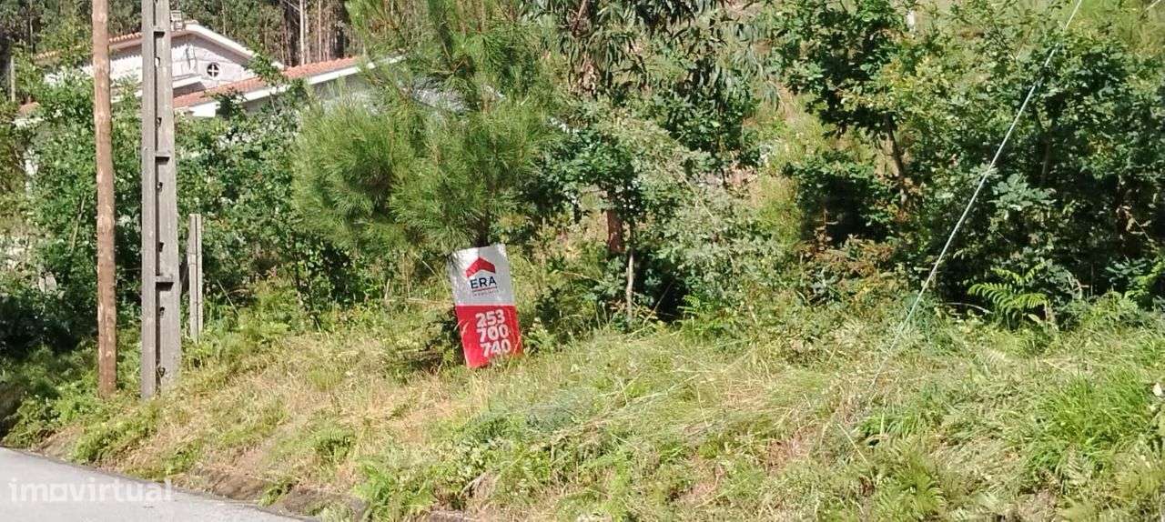 Terreno com 3.360 m2 em Arnozela - Grande imagem: 3/14