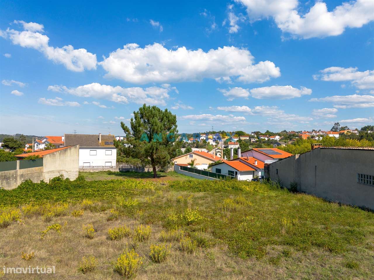 ANG1482 - Terreno para Venda em Leiria - Grande imagem: 3/17