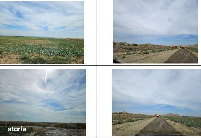 Teren cota parte 4/16 Horia, ID: R1967996 - Imagine principală: 3/5