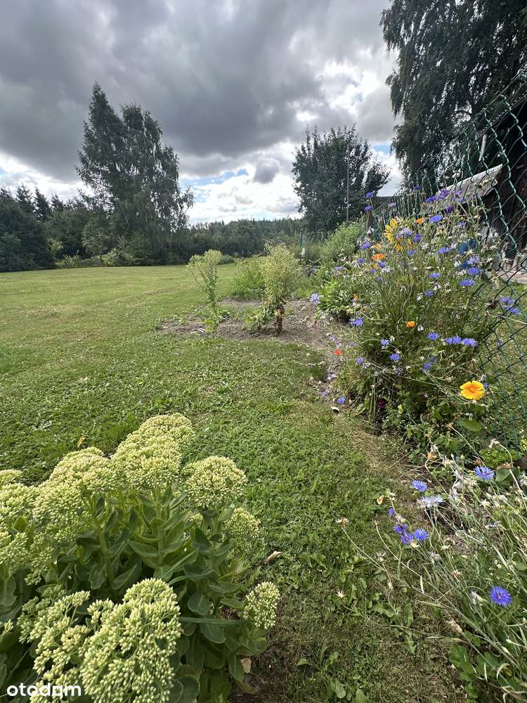 Dom z własnym jeziorem-4