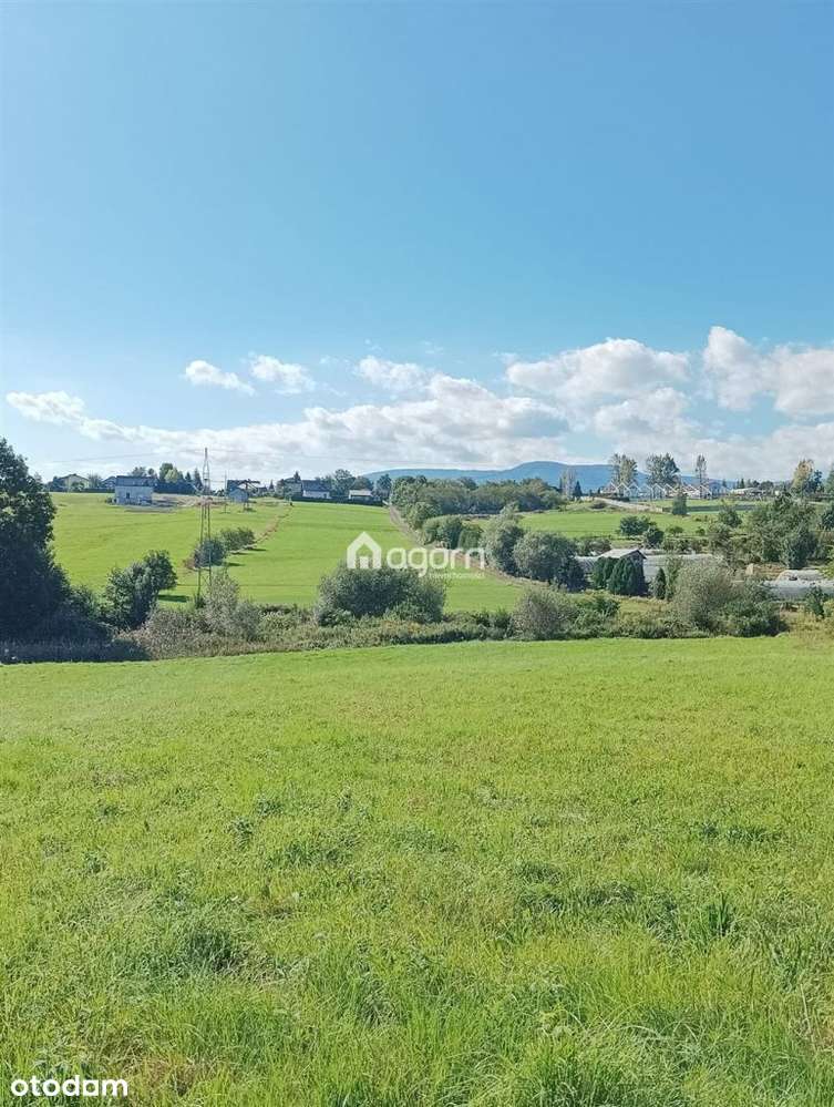 Działka inwestycyjna w Starym Bielsku - Pełny obrazek: 1/3