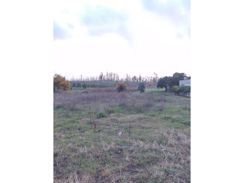 Terreno para construção-5