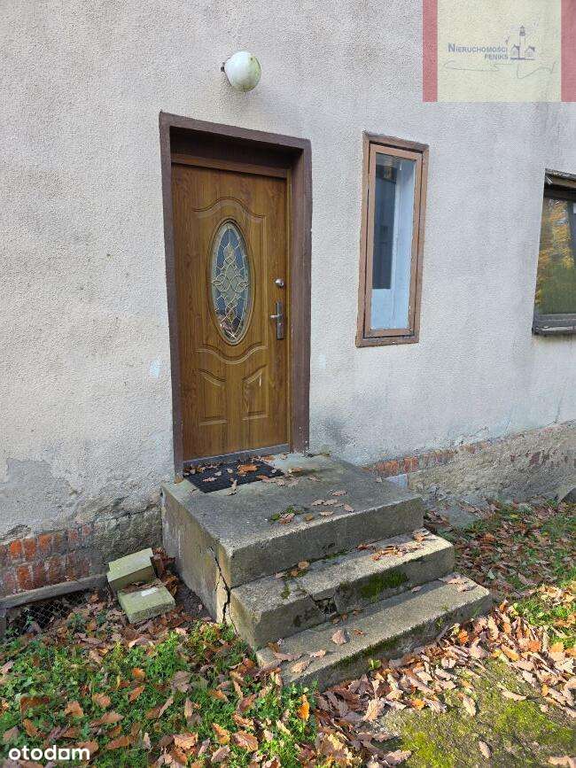 600m od plaży- Jastrzębia Góra (Klonowa)-7