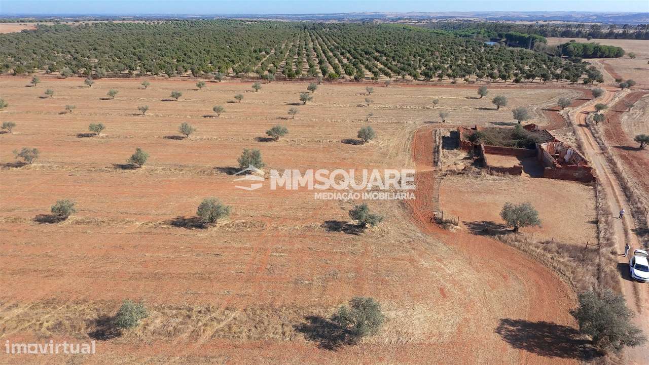 Herdade  Venda em Garvão e Santa Luzia,Ourique-13