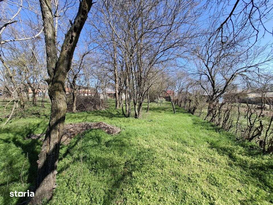 Vanzare teren + casa batraneasca in Racari, la DN71-10