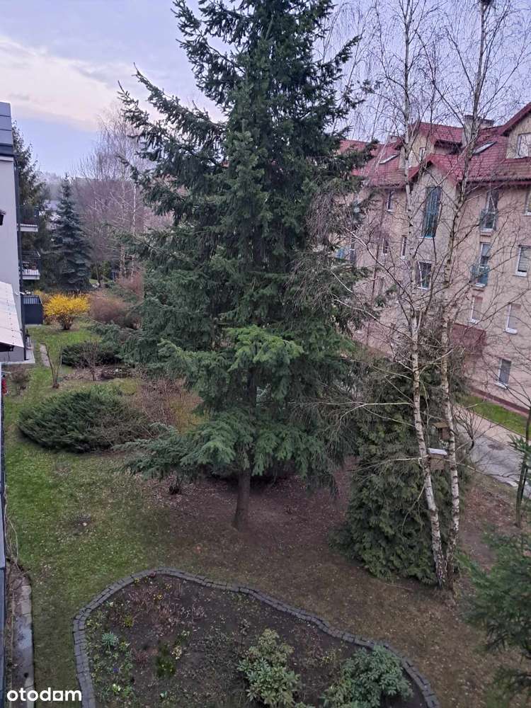 Przestronne 3-pokojowe z terenem zielonym - Pełny obrazek: 4/5