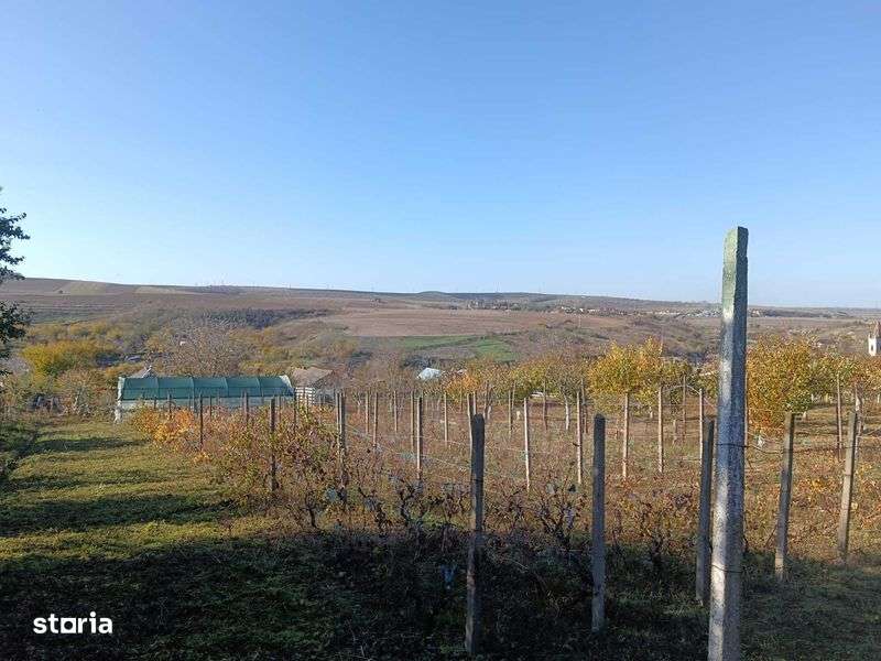 Teren intravilan sat Malcoci, com. Nufaru, jud. Tulcea - Imagine principală: 5/8