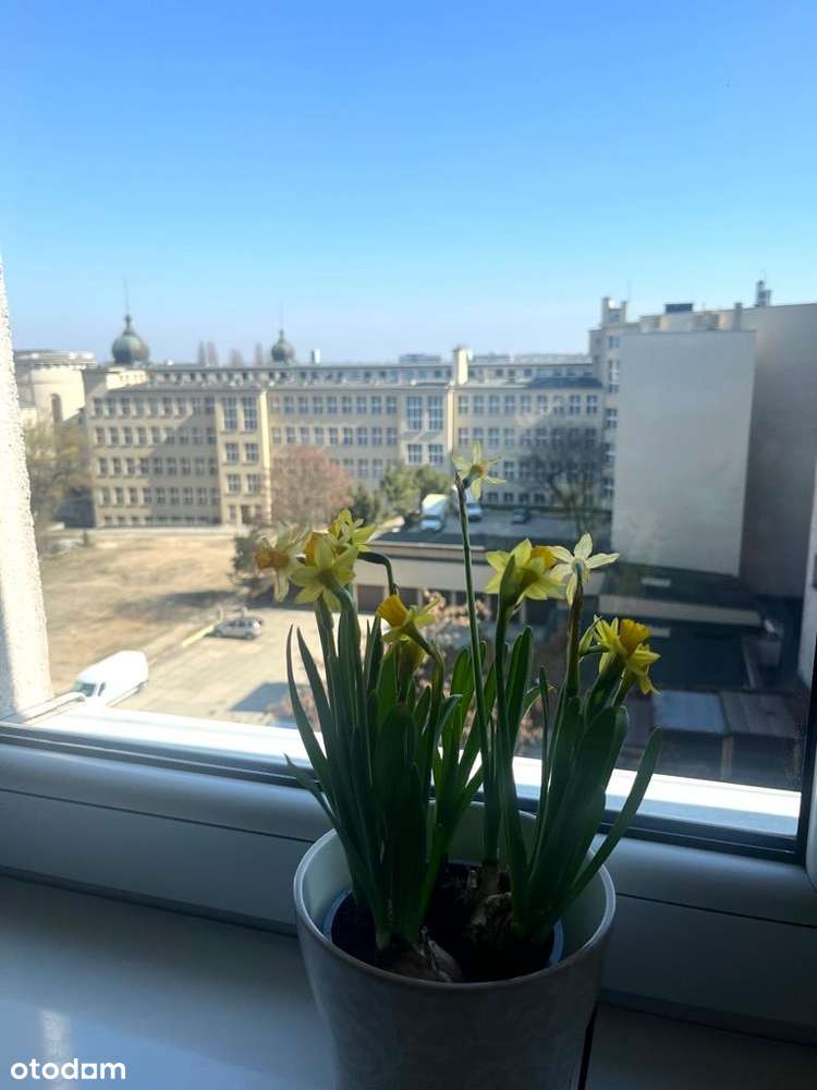 Mieszkanie, 2 pokoje, winda, Szeligiewicza, park-11