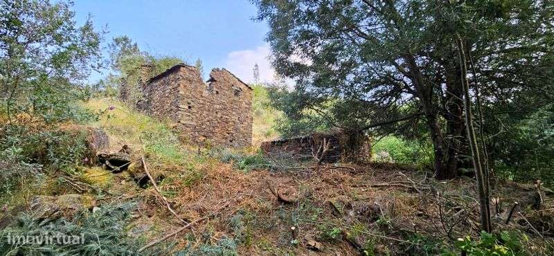 Serra da Estrela 6HC + 2 Ruinas - Grande imagem: 5/12