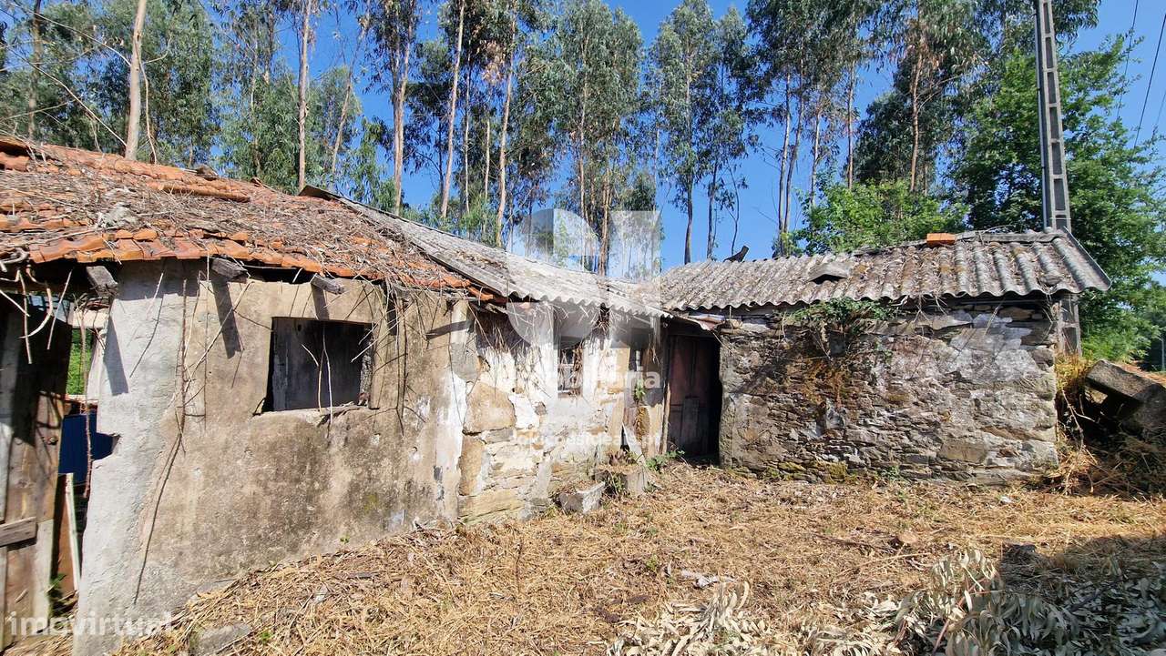 imóvel para restauro - Gandra - Grande imagem: 5/33