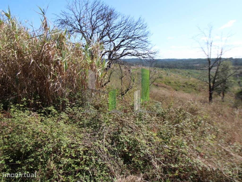 Venda terreno urbano Figueira da Foz - Grande imagem: 2/12