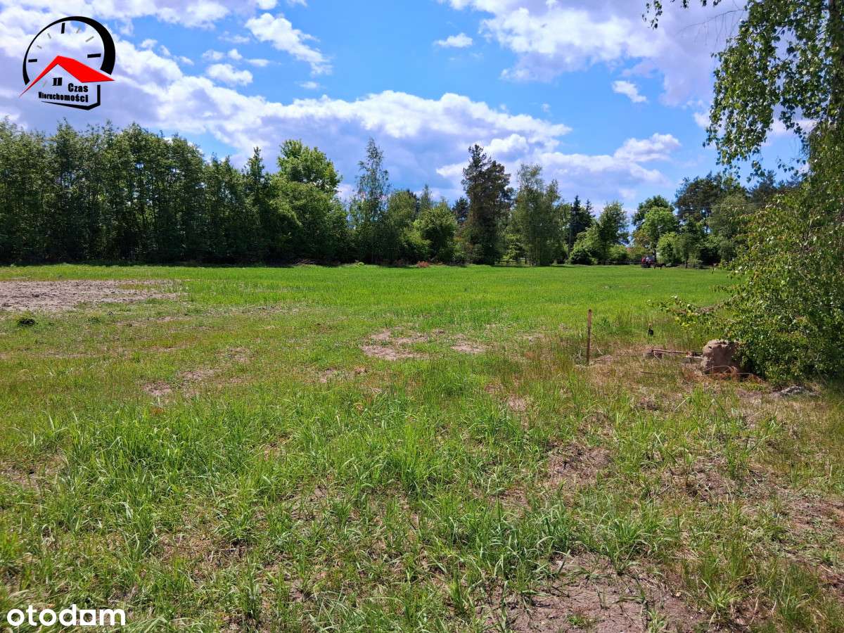 Działka w 3 linii Jeziora Niedzięgiel- 0% prowizji - Pełny obrazek: 4/12