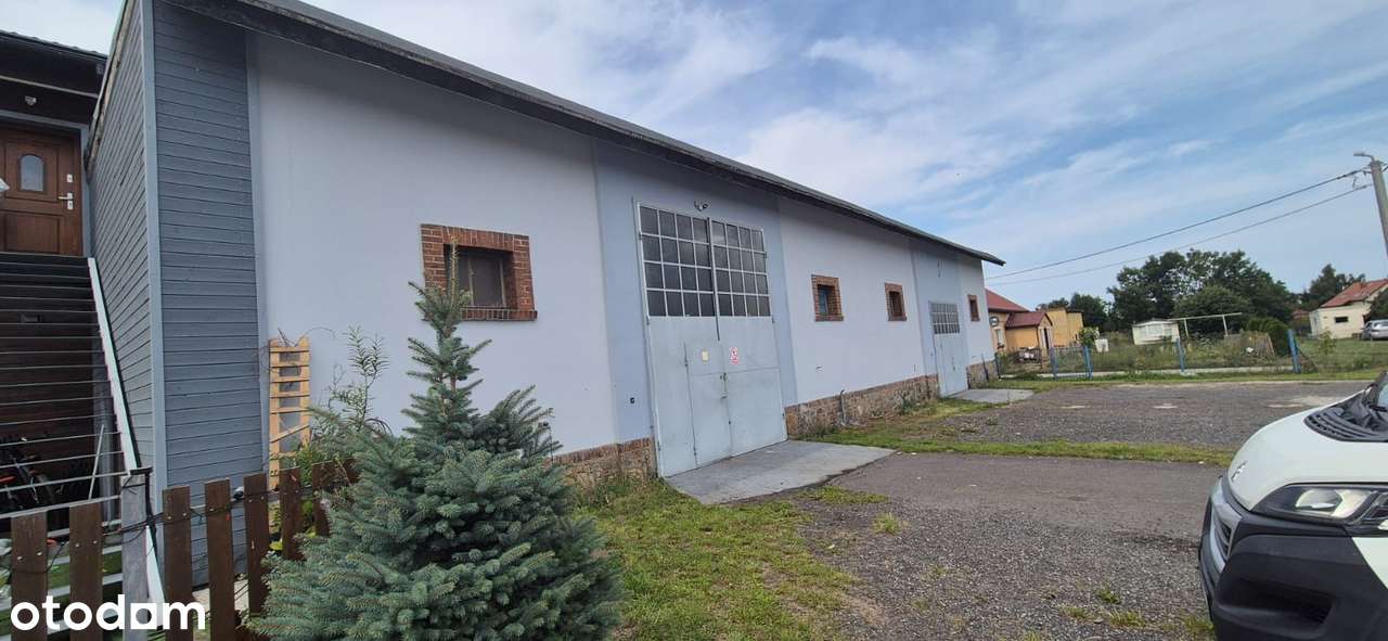 Hala na wynajem z monitoringiem i parkingiem - Pełny obrazek: 1/11