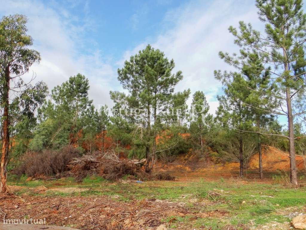 Terreno em Quinta da Sardinha - Grande imagem: 2/13
