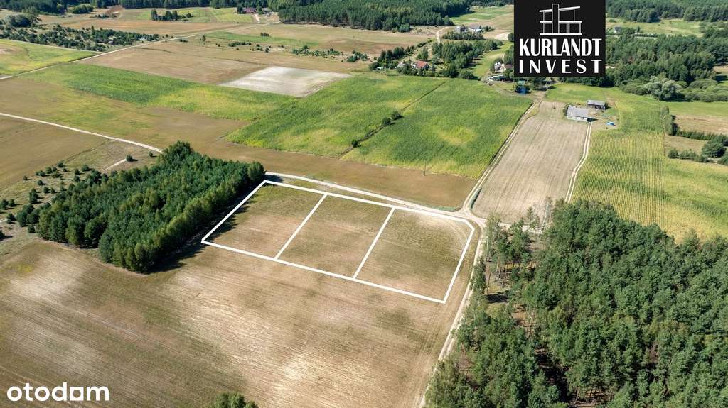 Działka z Warunkami Zabudowy Iwiec Bory Tucholskie - Pełny obrazek: 4/7