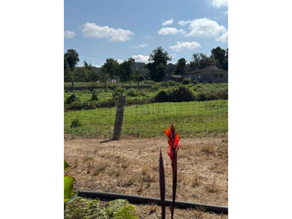 Terreno para construção em Lemenhe.-5