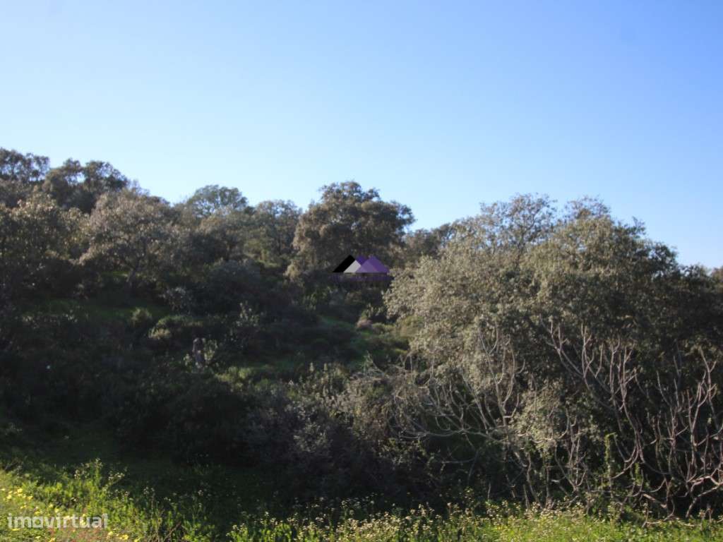 Terreno Rústico | 34.000 m² | Corga da Madeira - Junqueira, Castro ...-11