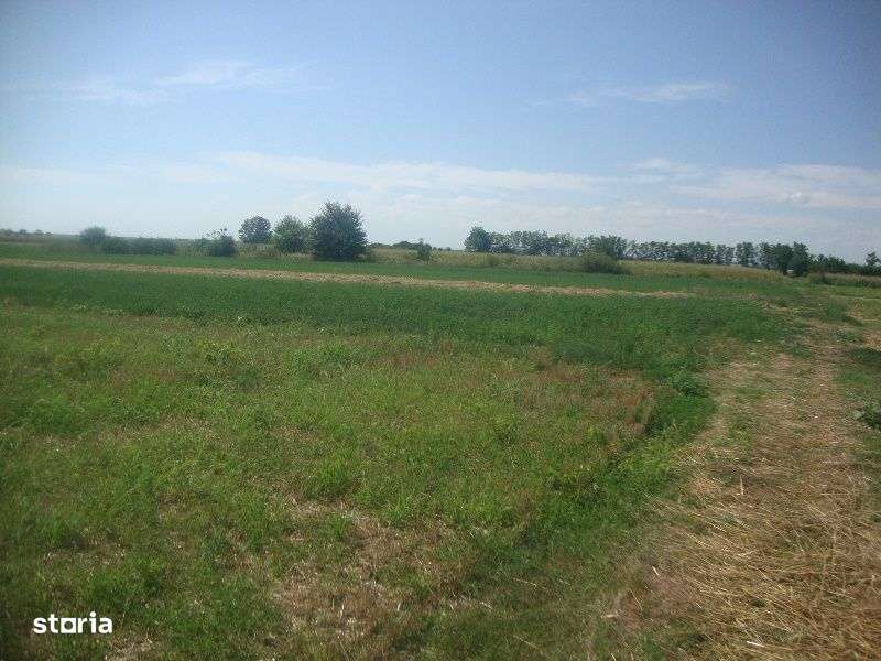 Teren extravilan Boldesti Gradistea, Prahova - 3089300-2