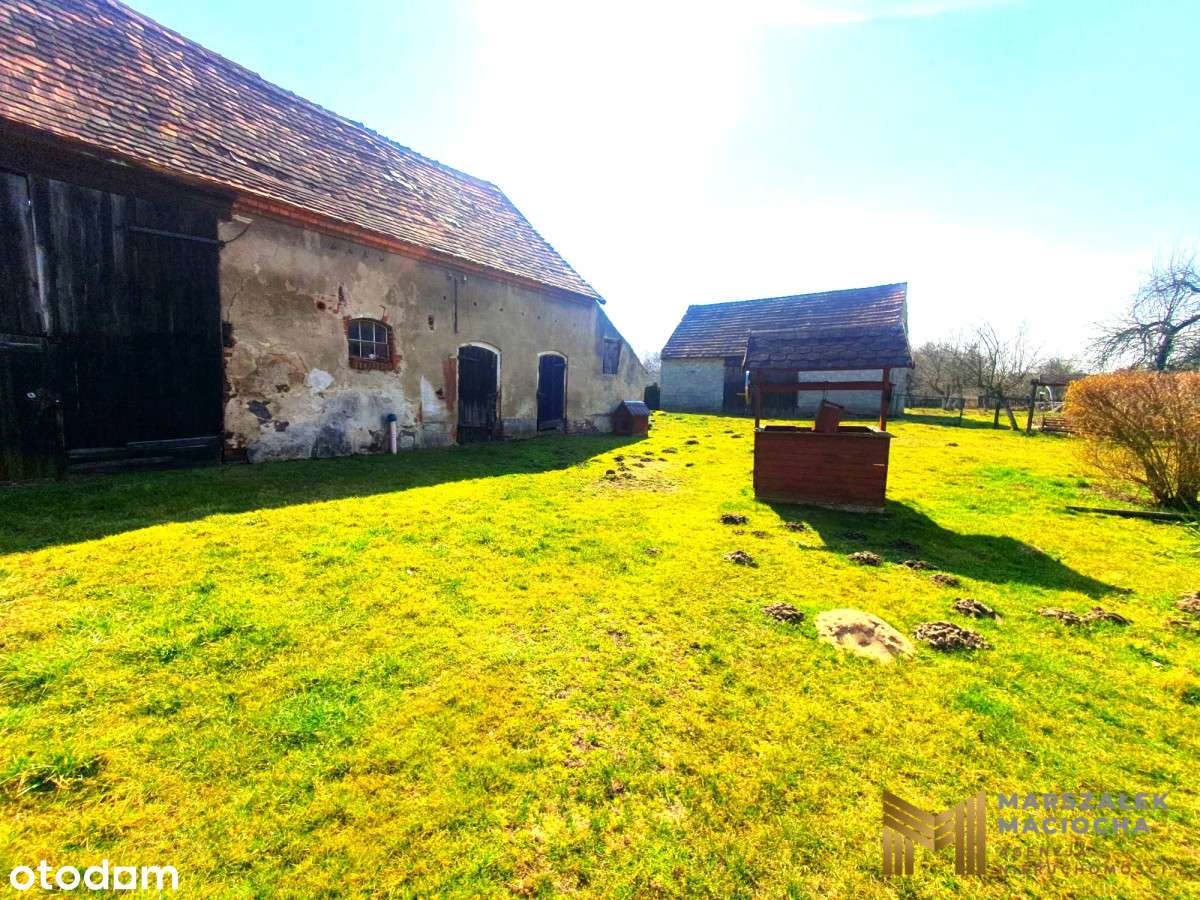 5200 m2 z domem i zabudowaniami, Kozowo, okazja!-5