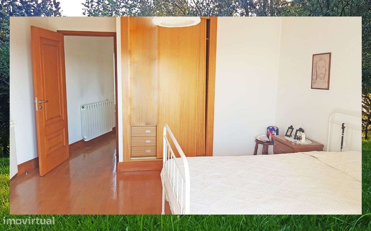 Quintinha com Mata secular-29