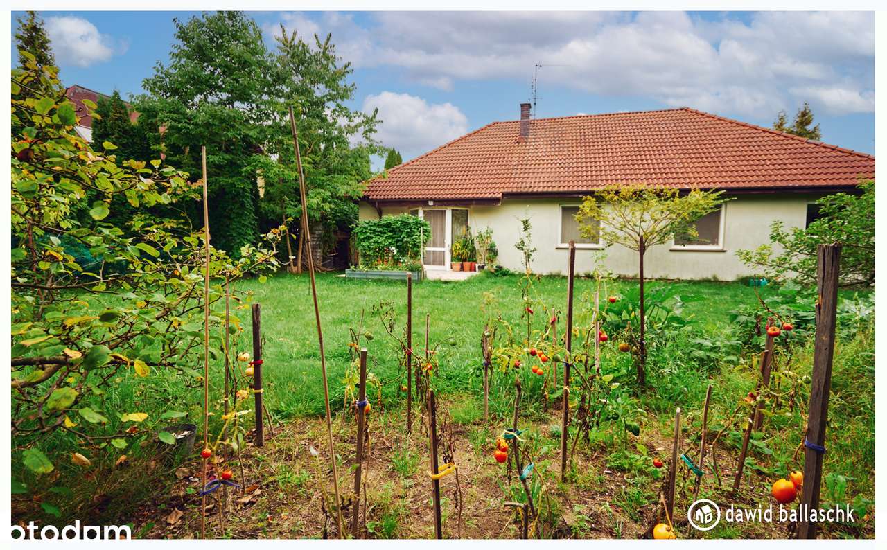 Kameralny parterowy dom blisko lasu-19