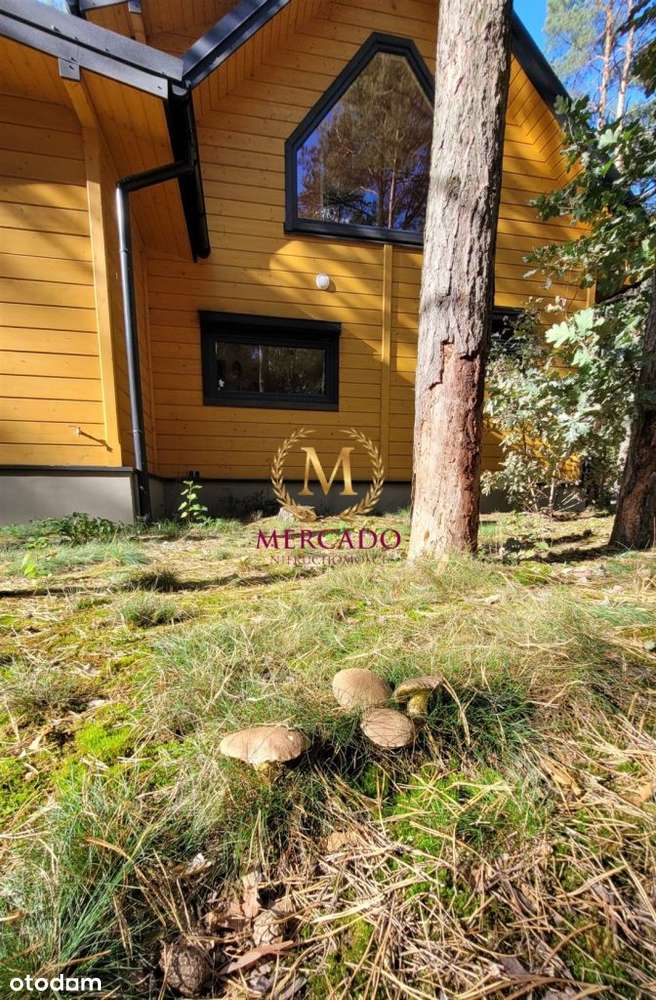 Dom z wyposażeniem+sauna i jakuzzi przy jeziorze - Pełny obrazek: 4/20