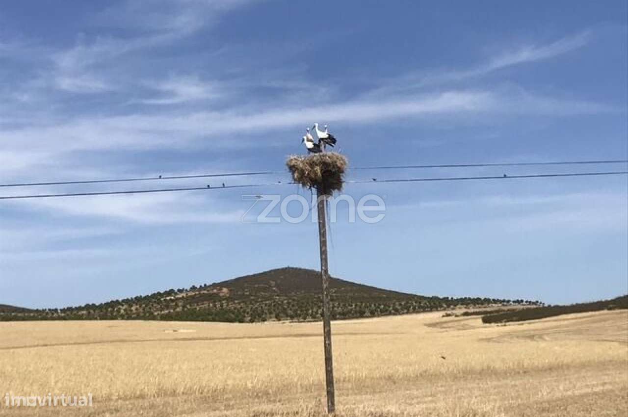 Herdade Vale do Guadiana 25HA-5
