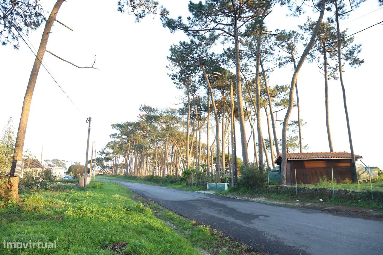 Terreno Rustico - Grande imagem: 2/29