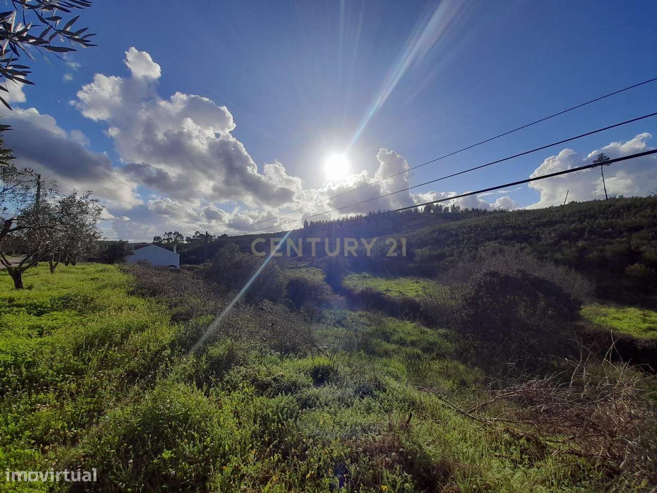 Terreno rústico, Arriacha Fundeira - Grande imagem: 4/9