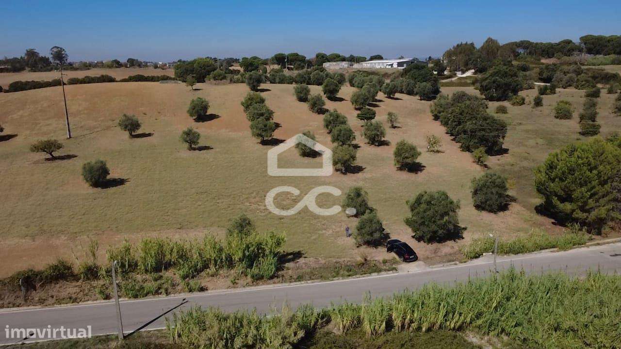 Terreno Rústico com 25.240 m² em Ferras, Gavata, Torres Novas – RAN-41