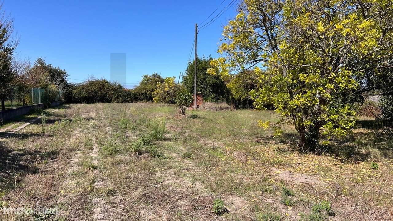 Moradia T5  com 238 m2 | Terreno 2.214 m2 | Vagos, Aveiro-22