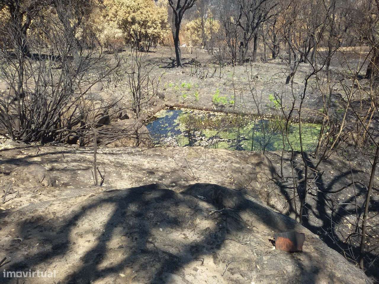 Terreno rústico com ruina em Alferce - Grande imagem: 5/21