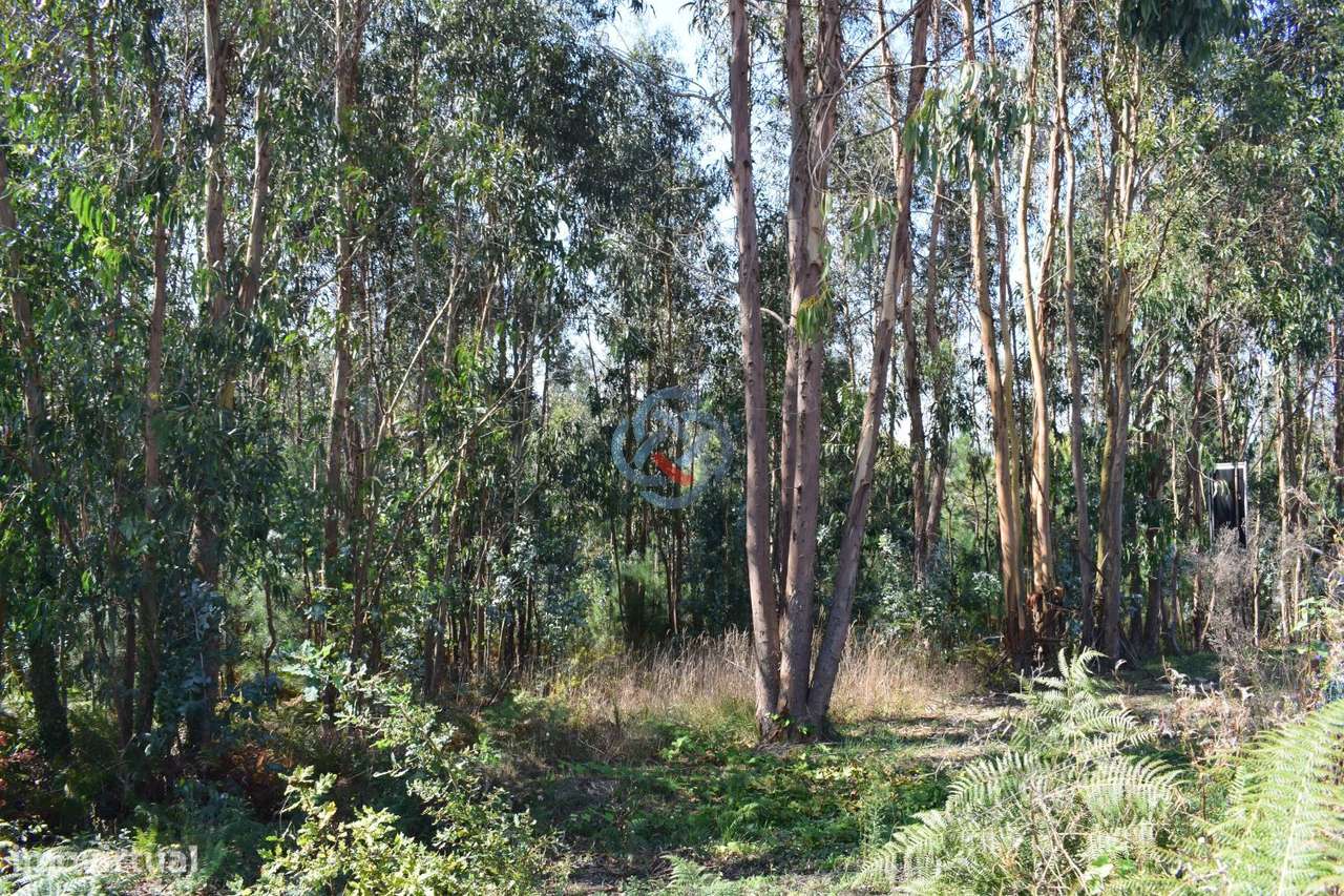 Terreno c/ Viabilidade de Construtiva-2