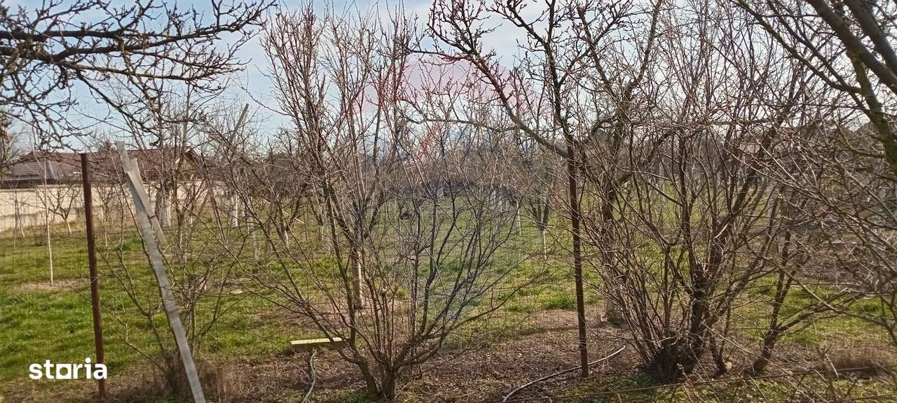 Teren Vladimirescu-  Zona Excelenta  2954 MP INTRAVILAN!!!-8