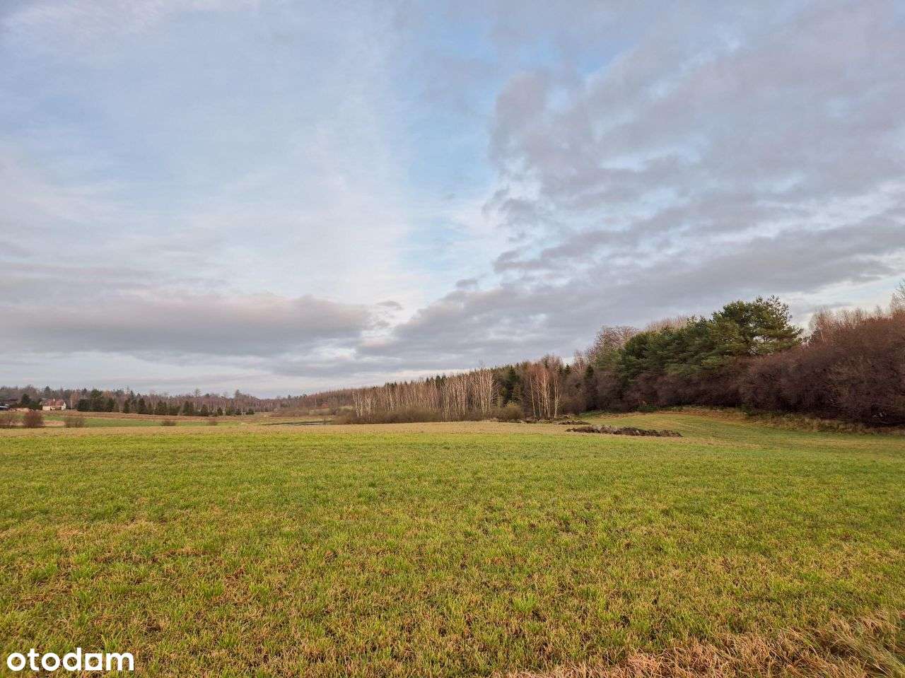 Działka, 1 336 m², Rybno-4