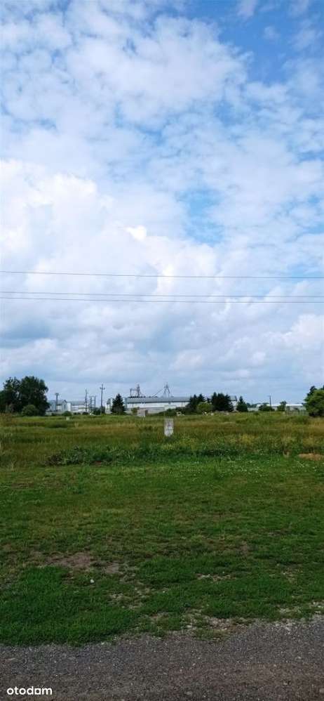 Załom, działka z WARUNKAMI ZABUDOWY.-7