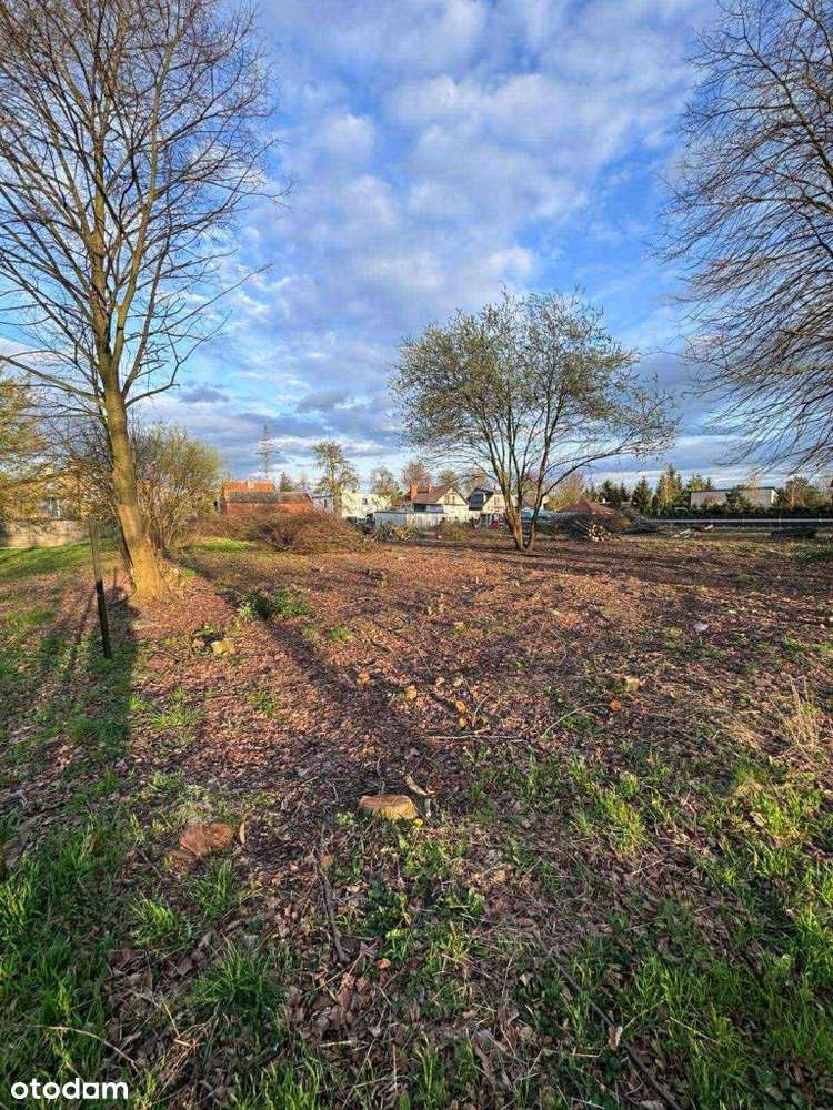 Dom, 63 m², Rogoźno-4