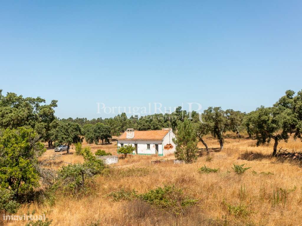 Quinta de 20ha com projeto para Turismo Rural a 1h de Lisboa-15