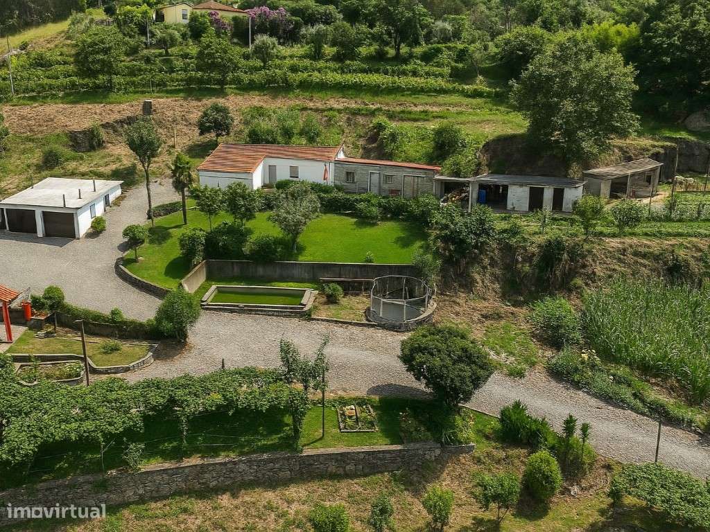 Quinta com 20.000 m² para Venda - Penacova-9