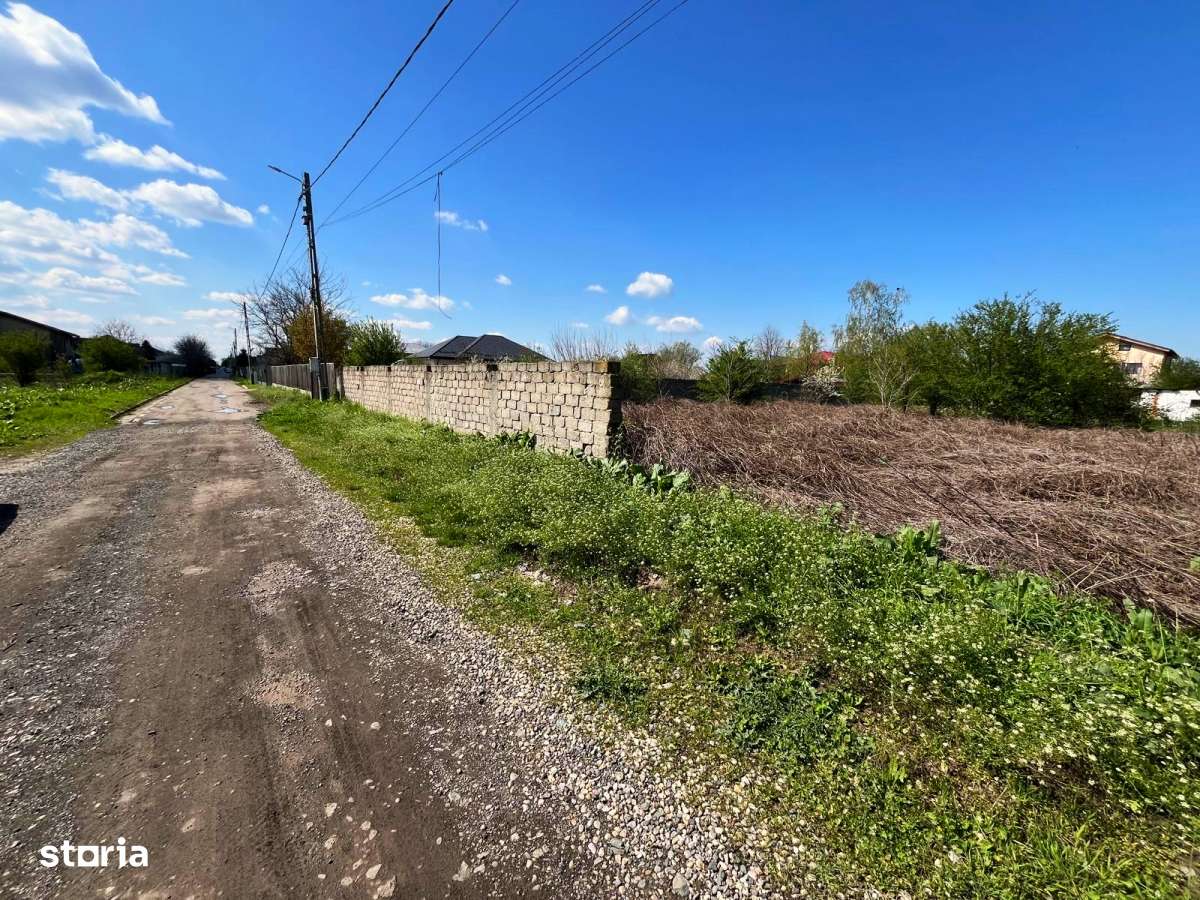 Islaz - Branesti - teren 1374mp - canalizare - gaze - curent - asfalt-7